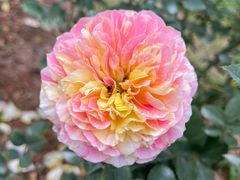 -人民公园(罗湖区)