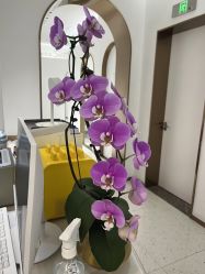 -Dr.U博士医疗美容医院