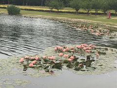 -同济大学(嘉定校区)