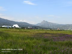 -敕勒川草原