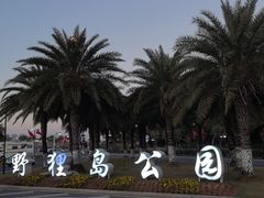 -野狸岛