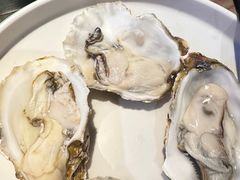 -探窝·竹笙椰子鸡(杨箕店)