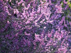 -天台山赤城山景区