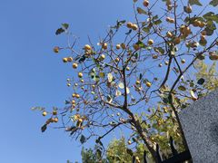 -石燕湖生态旅游景区