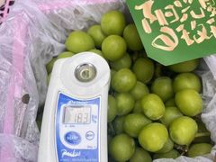 -江苏凌家塘农副产品批发市场果品区
