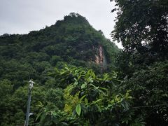 -黔灵山公园