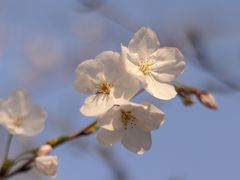 -苏州太湖国际会议中心