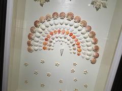 -青岛贝壳博物馆