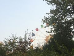 -西安市长乐公园