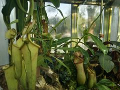 -国家植物园南园