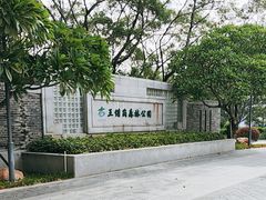 -王借岗森林公园