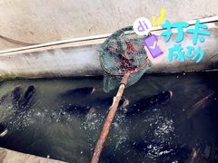 -雪湖煜辰鱼头老店(雪野湖店)