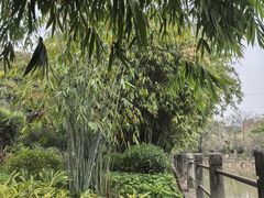 -晓港公园