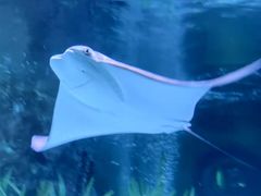 -沈阳海洋探索中心