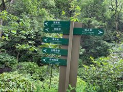 -杭州半山国家森林公园