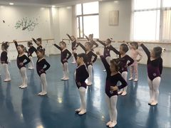 -西安小天鹅艺术团(金花路校区)