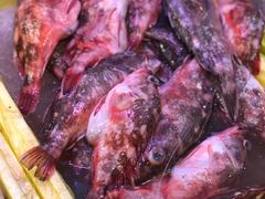 -芦潮港集贸市场