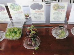 -马陆小张葡萄园农家乐