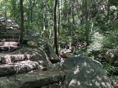 -大岭沟猕猴桃谷风景区