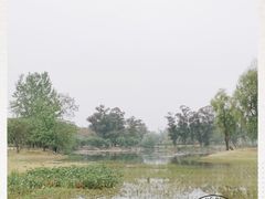 -两河城市森林公园