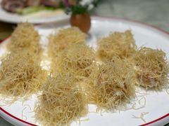 -丁老爷子苏香圆