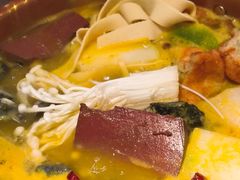 -Darling Queen·Mini·Live·House