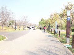 -自然谷恐龙园