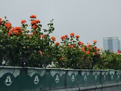 -东明山森林公园