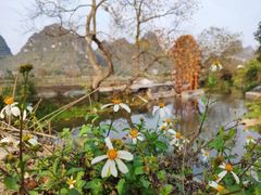 -生态苑农庄(十里画廊遇龙河店)