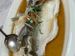 -老洋房花园饭店(绍兴路店)