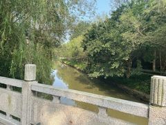 -日照海滨国家森林公园