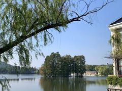 -东湖食堂·湖景餐厅•会议