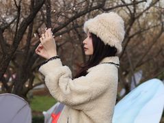 -香雪海