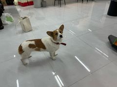 -大猫儿轰趴·团建·年会聚会(朝外店)