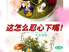 -5Cake五度无蔗糖低脂蛋糕(陶然亭店)