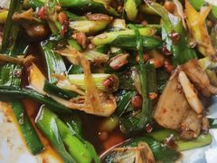 -胖大姐黄辣丁鱼庄(新津店)