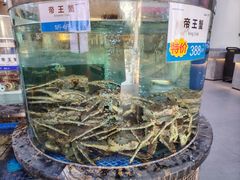 帝王蟹-欢乐海岸美食联盟