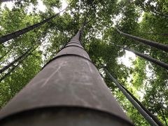 -宝岩生态观光园