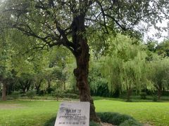 -苏州河梦清园环保主题公园