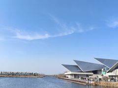 -盐城丹顶鹤湿地生态旅游区