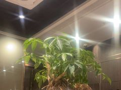 -海底捞火锅(高科广场店)
