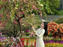 -东莞植物园