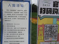 -秀丽东方