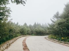 -白草畔自然风景区