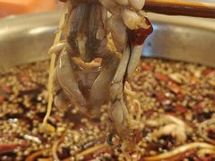 -大众美蛙鱼头(民心佳园总店)