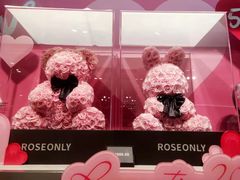 -ROSEONLY诺誓(国际广场购物中心店)