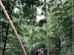 -宁波五龙潭景区