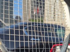 -大生体育(总店)