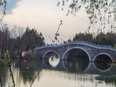 -瑶湖郊野森林公园