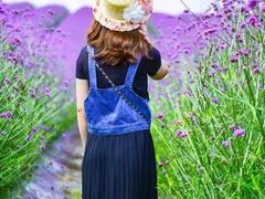-紫颐香薰山谷景区